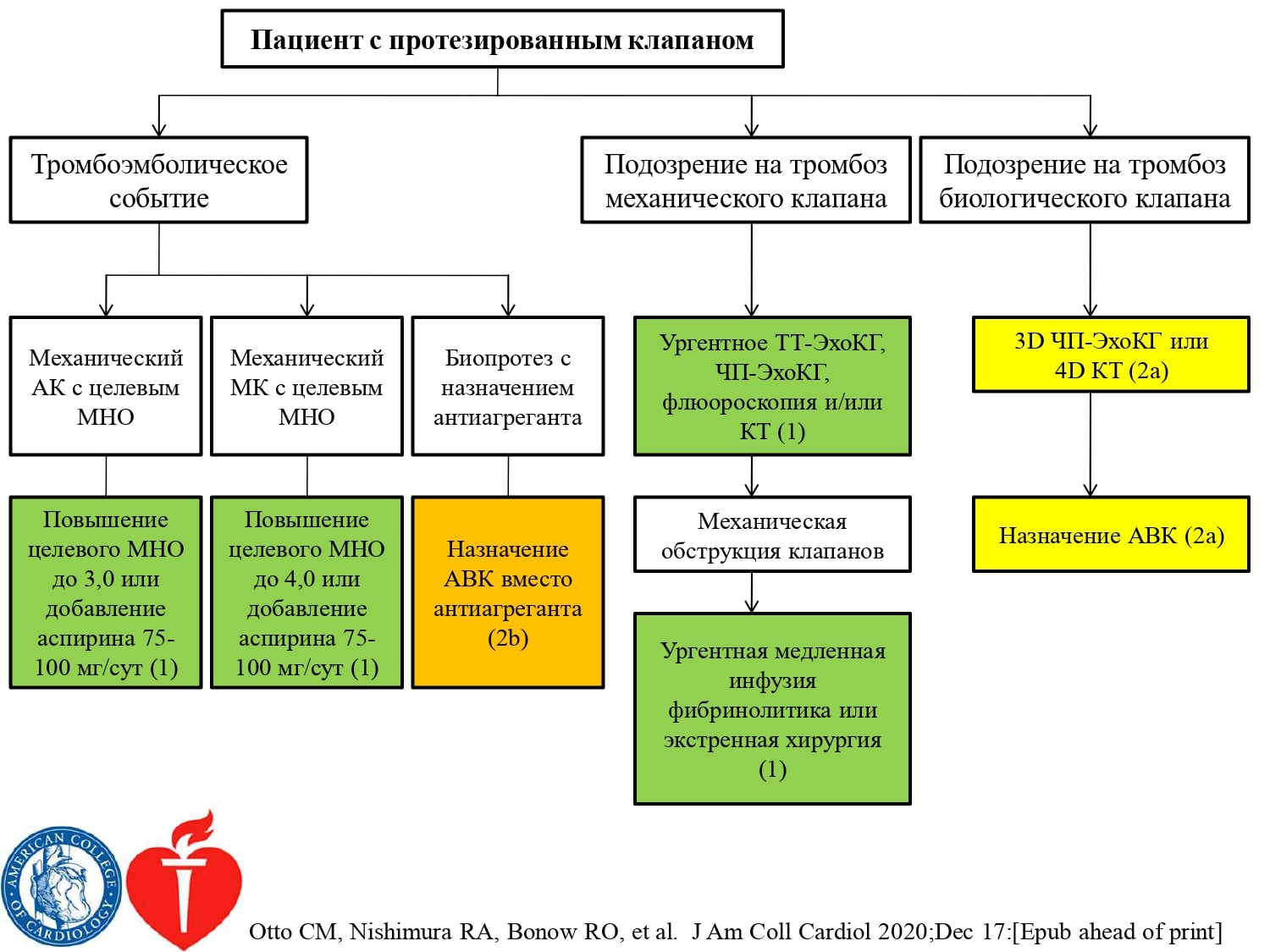 Реабилитация и восстановление после инсульта в домашних условиях и стационаре